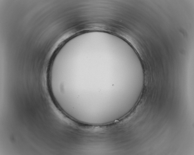 X0000113901139200910151350