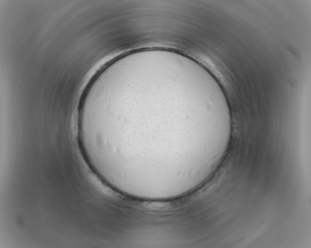 X0000113901140200910151350