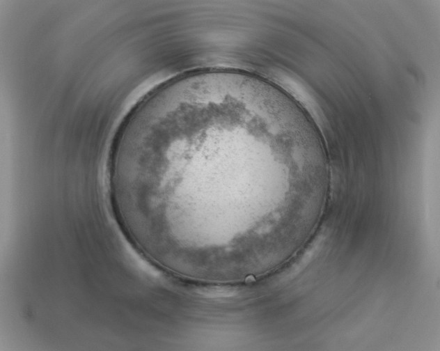 X0000113901141200910151350