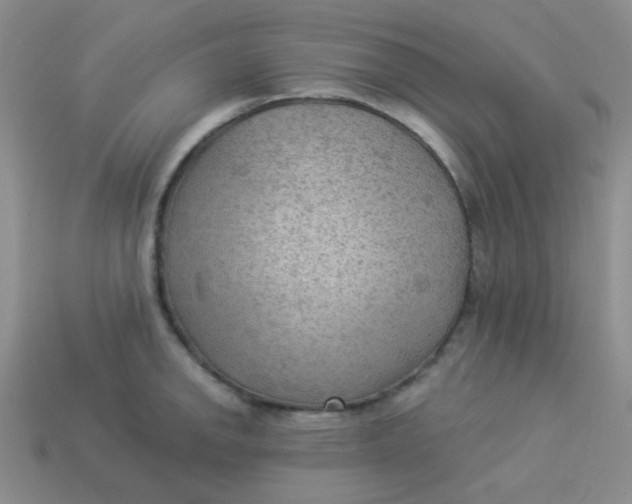 X0000113901142200910151350