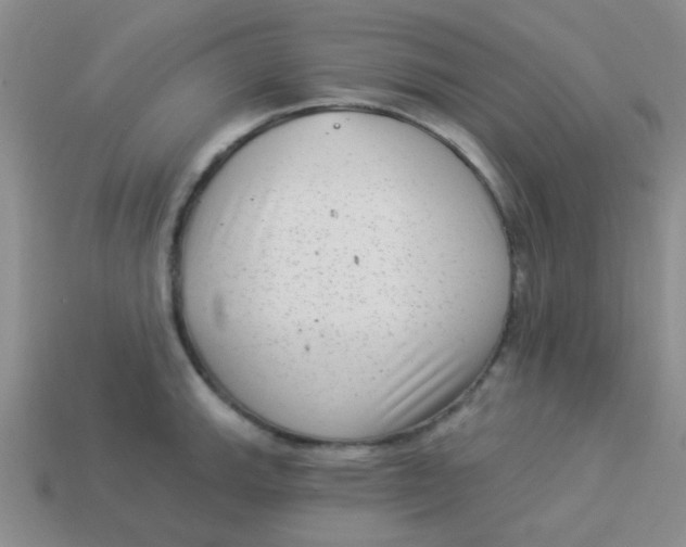 X0000113901143200910151350