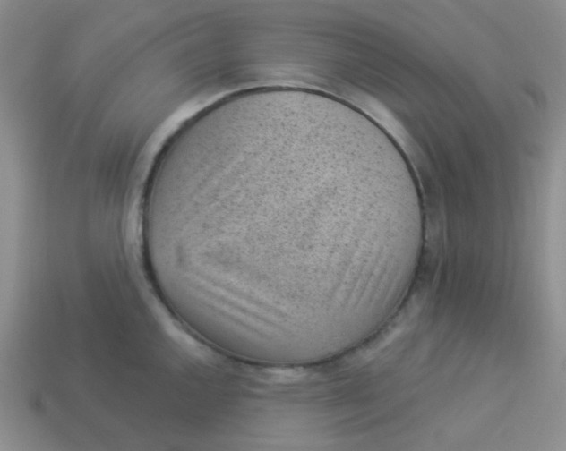 X0000113901144200910151350