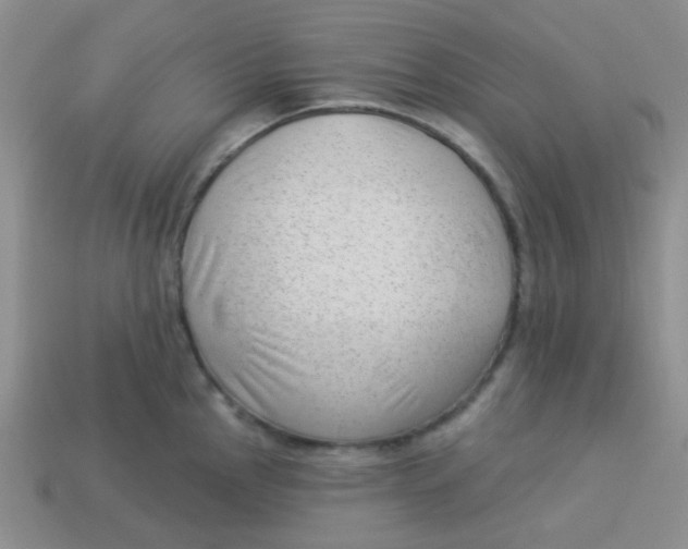 X0000113901145200910151350