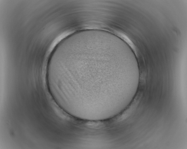 X0000113901146200910151350