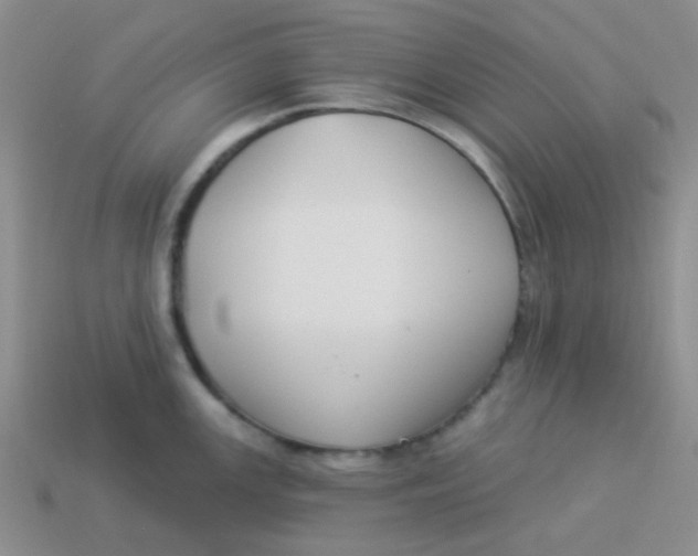 X0000113901147200910151350