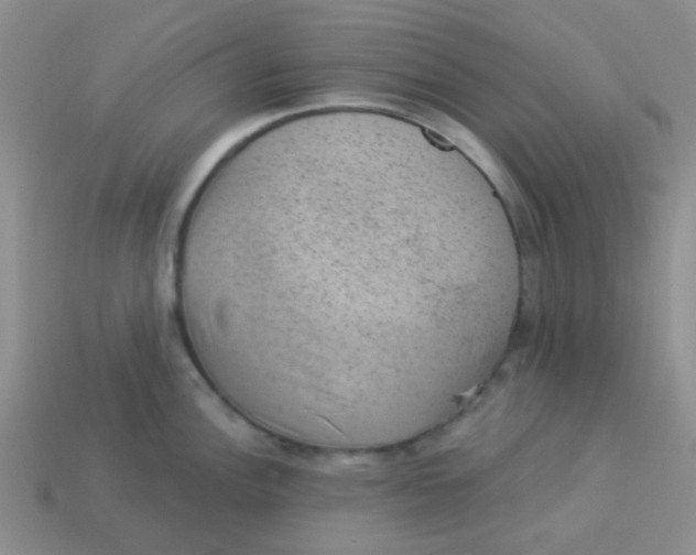 X0000113901148200910151350