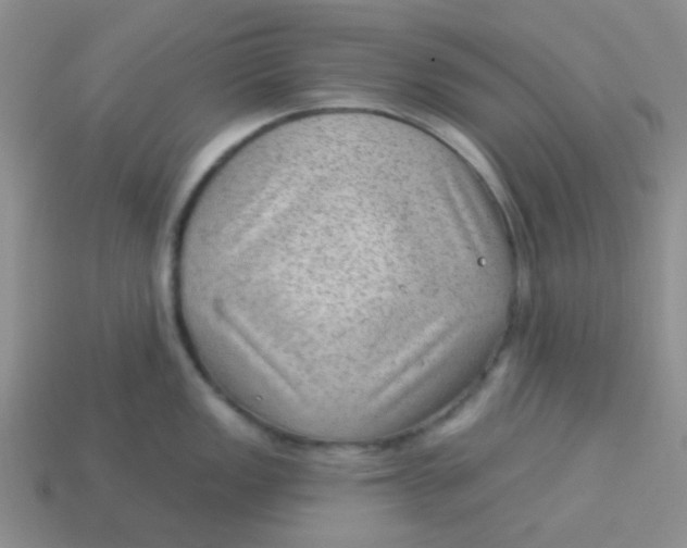 X0000113901149200910151350