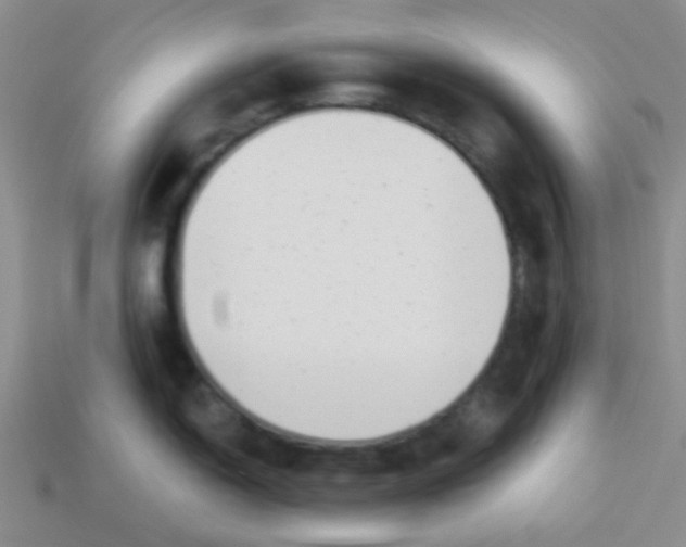 X0000113901150200910151350