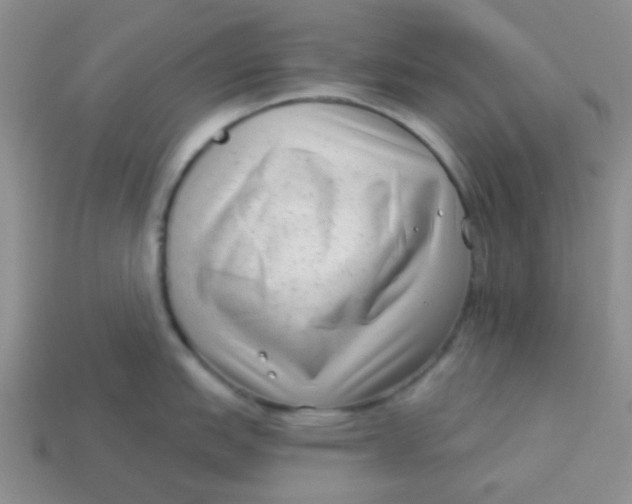 X0000113901151200910151350