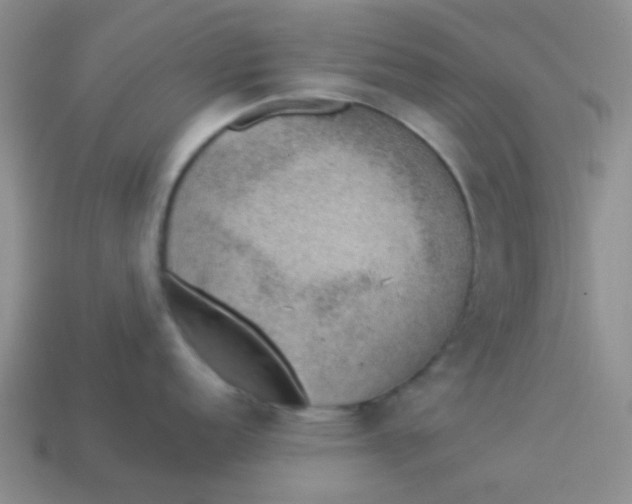 X0000113901152200910151350