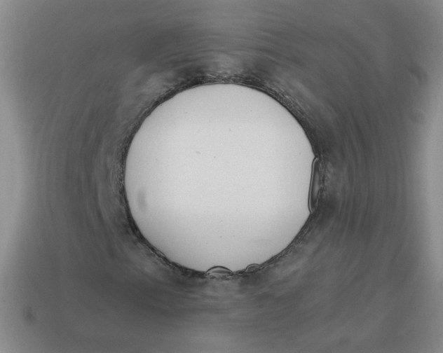 X0000113901153200910151349