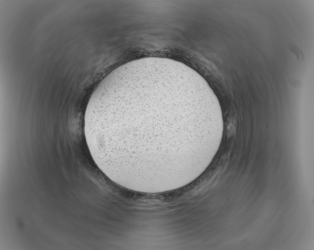 X0000113901156200910151349