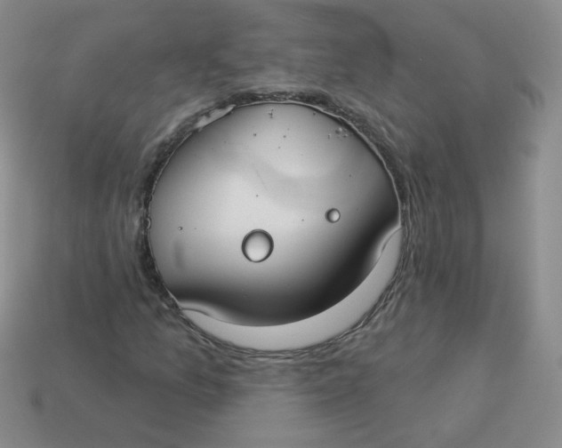 X0000113901157200910151349