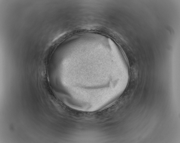 X0000113901158200910151349