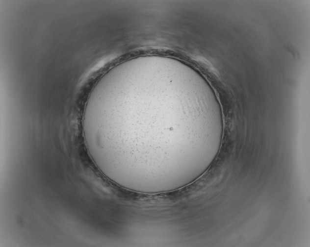 X0000113901159200910151349