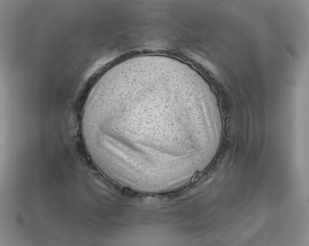 X0000113901160200910151349