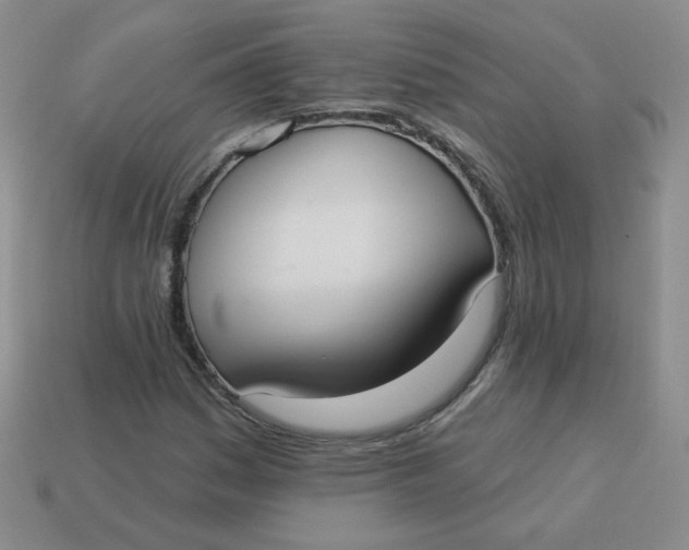 X0000113901161200910151349