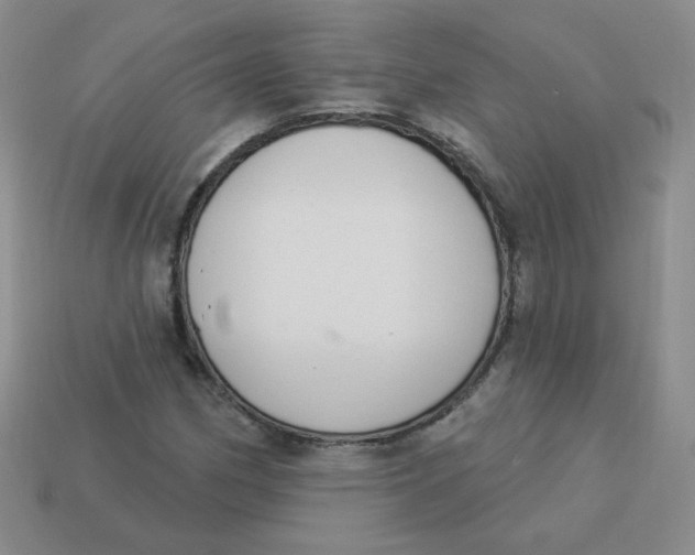 X0000113901162200910151349