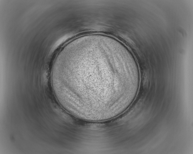 X0000113901163200910151349