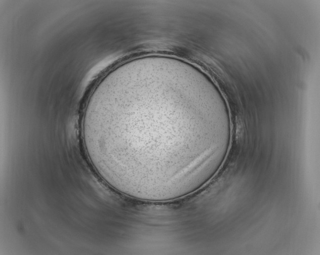 X0000113901164200910151349