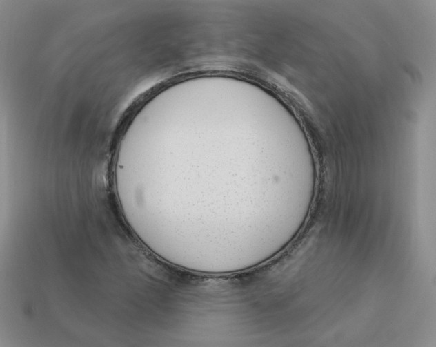 X0000113901166200910151349