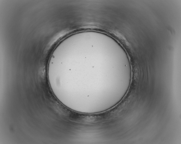 X0000113901167200910151349