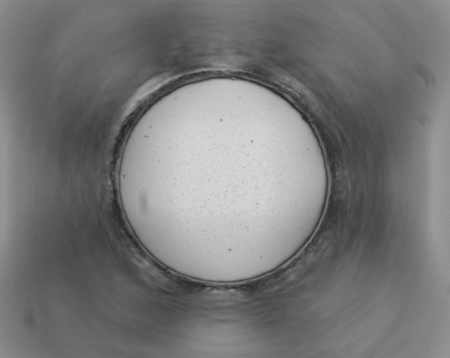 X0000113901168200910151349