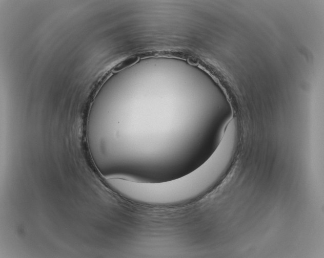 X0000113901169200910151349