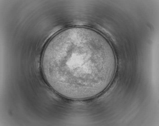 X0000113901170200910151349