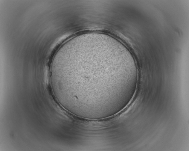 X0000113901171200910151349