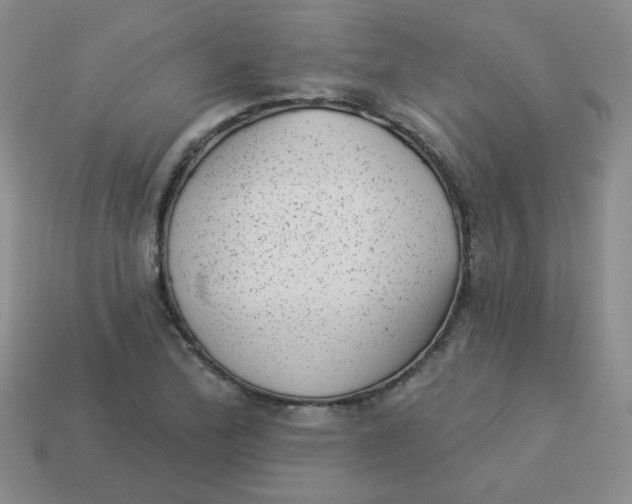 X0000113901172200910151349