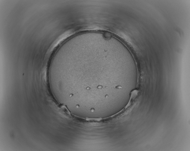 X0000113901173200910151349