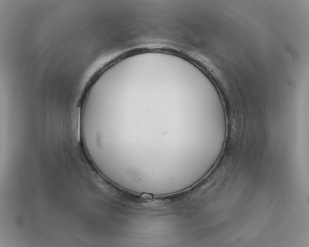 X0000113901175200910151349