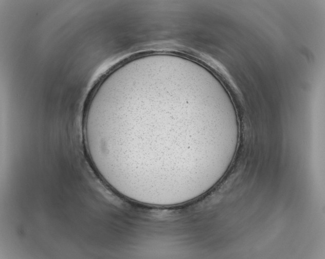 X0000113901176200910151349