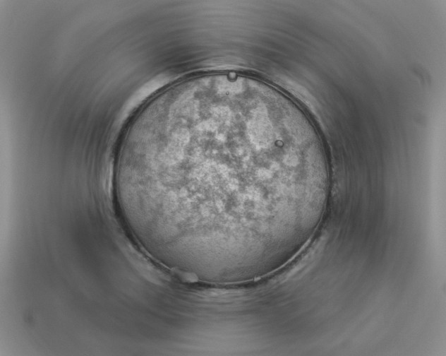 X0000113901179200910151349