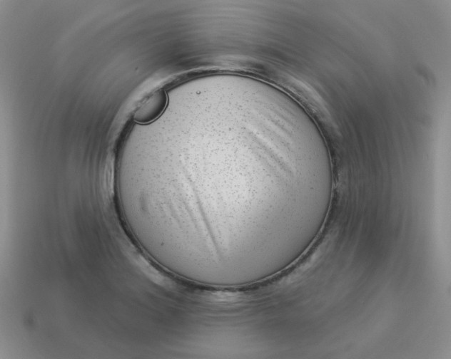 X0000113901180200910151349