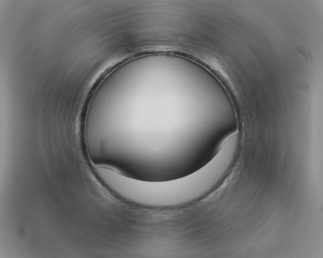 X0000113901181200910151349