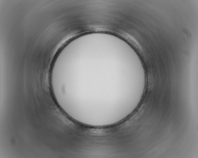 X0000113901182200910151349