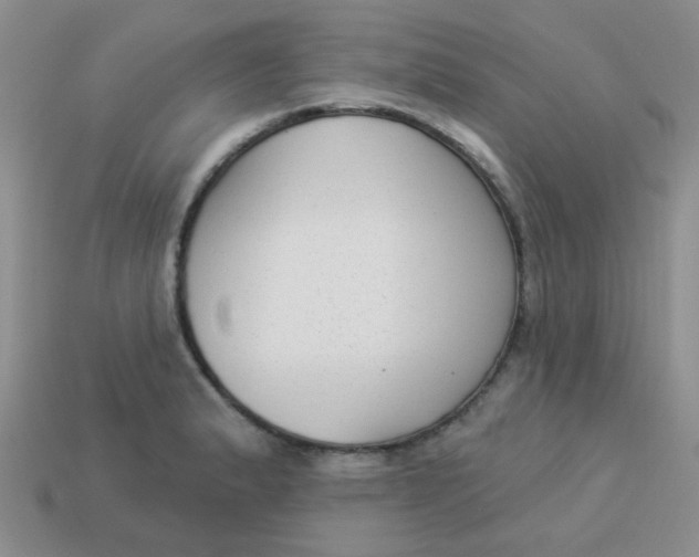 X0000113901183200910151349