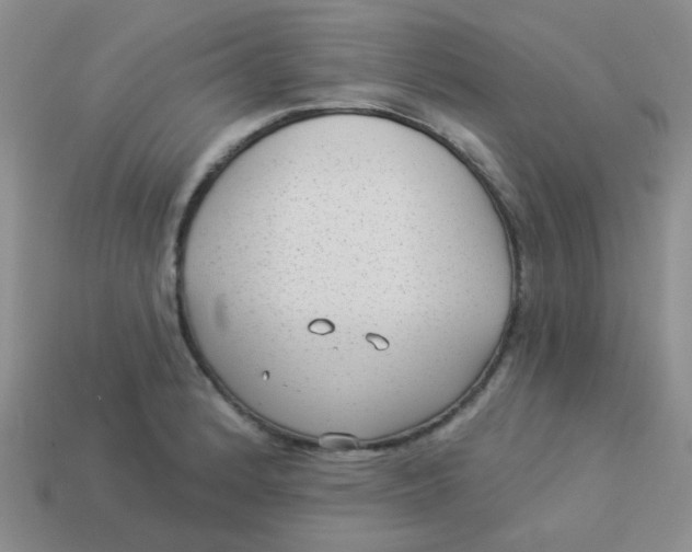 X0000113901184200910151349