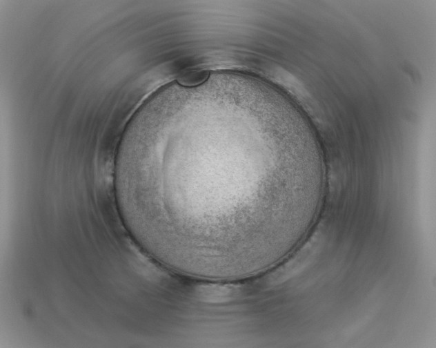 X0000113901185200910151349