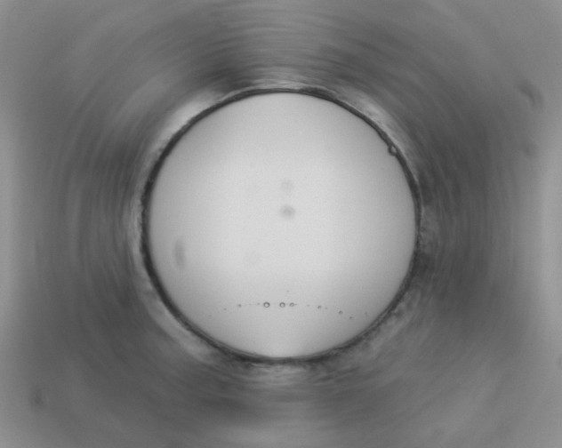 X0000113901187200910151349