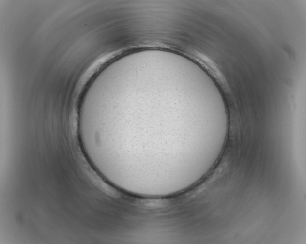 X0000113901188200910151349