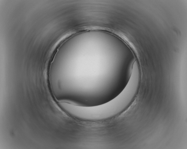 X0000113901189200910151349