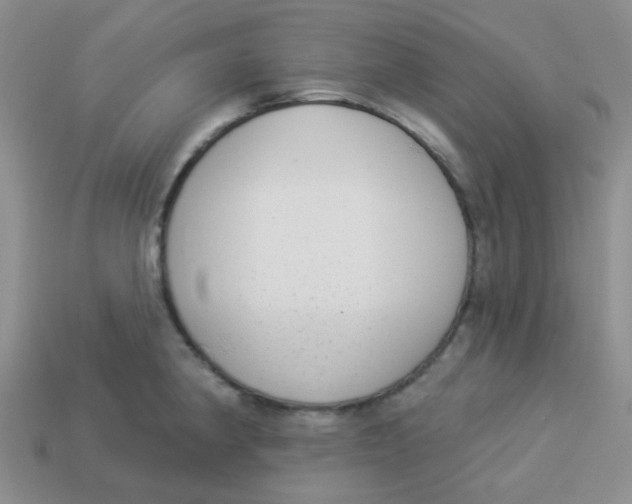 X0000113901190200910151349