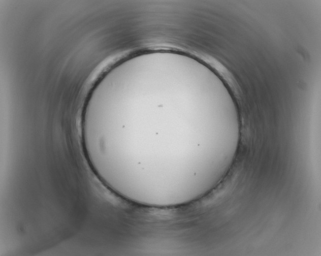 X0000113901191200910151349