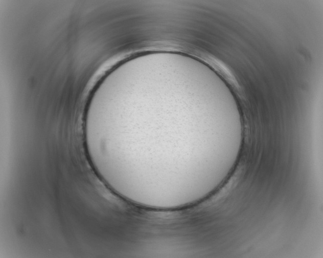 X0000113901192200910151349