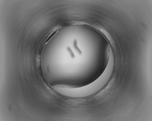 X0000113901193200910151349