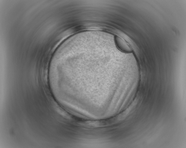 X0000113901194200910151349