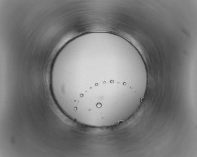 X0000113901195200910151349